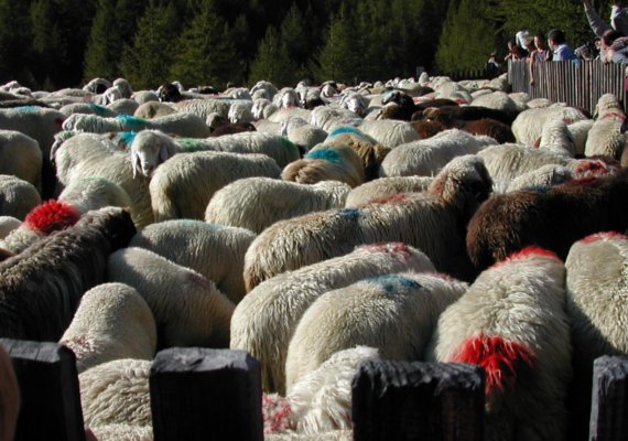 Wandern in Naturns Wandern in Naturns